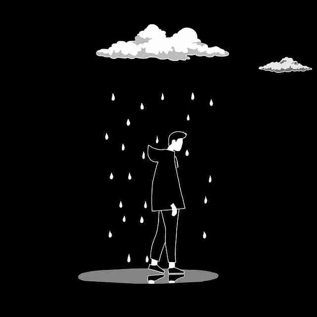 蘑菇视频电脑版交互体验焦点观察｜播放清晰度全测评提升平台粘性